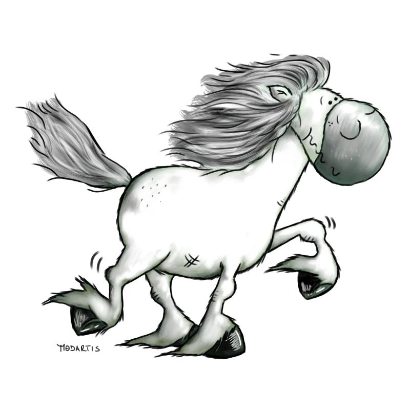 Drolliger Isländer - Islandpferd - Isi