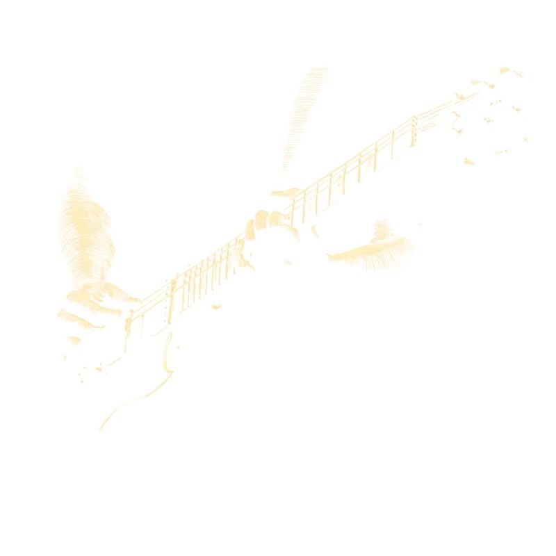 Guitarist
