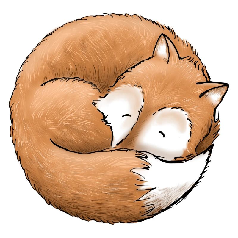 Der Fuchs macht ein Nickerchen