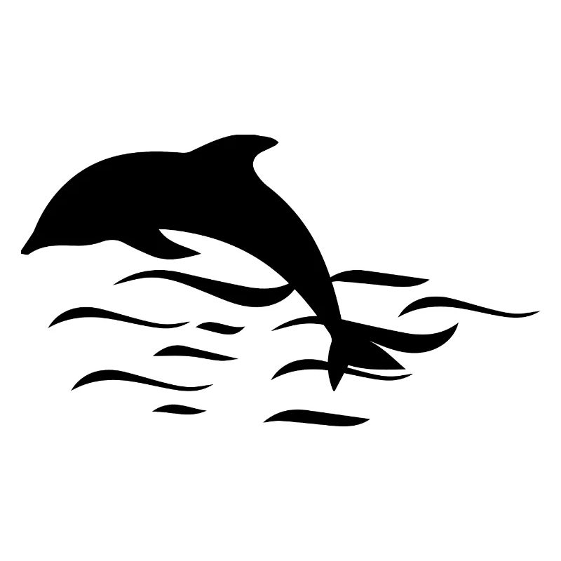 Dauphins de Dolphin
