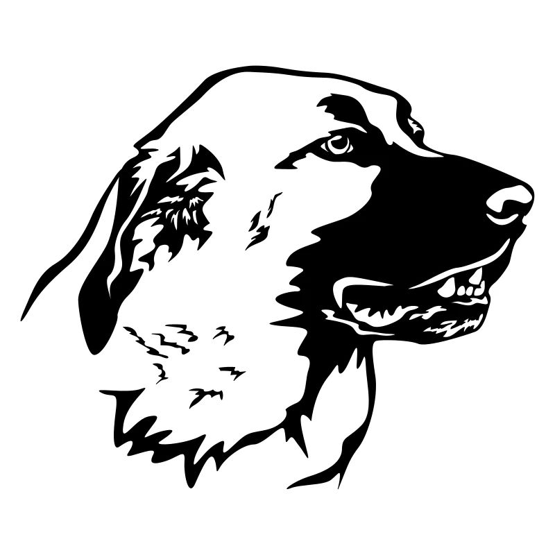 Kangal Head