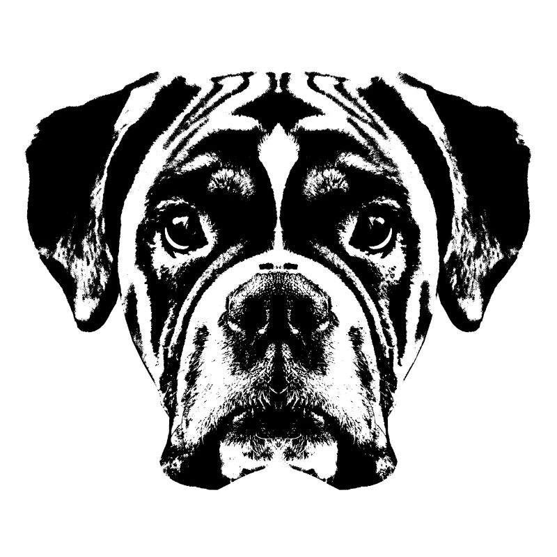 Boxer / Tête / Chien / Graphique