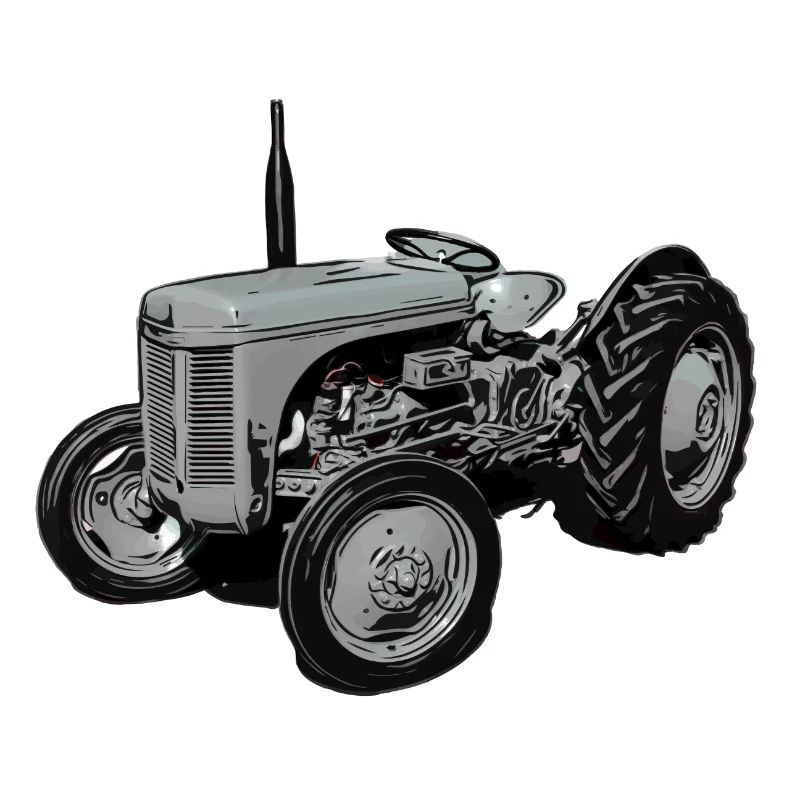 Old Fergie TE20 Tractor