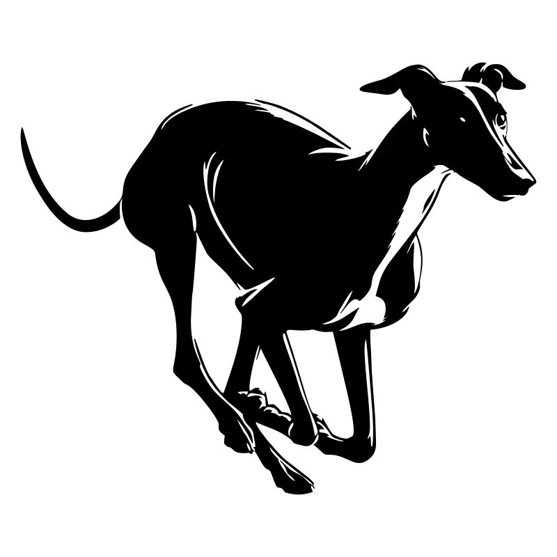 Lévrier