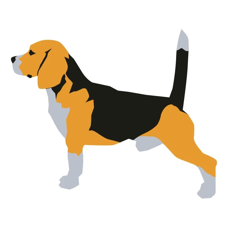 Beagle