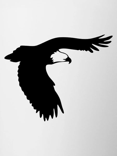 Raubvogel - Adler - Eagle