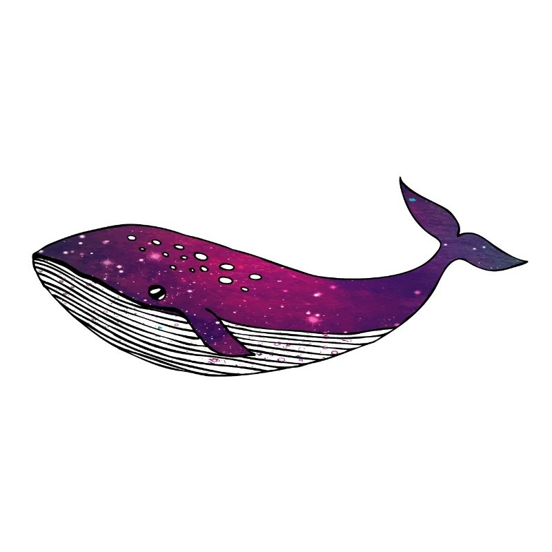 Whale universe starry galaxy