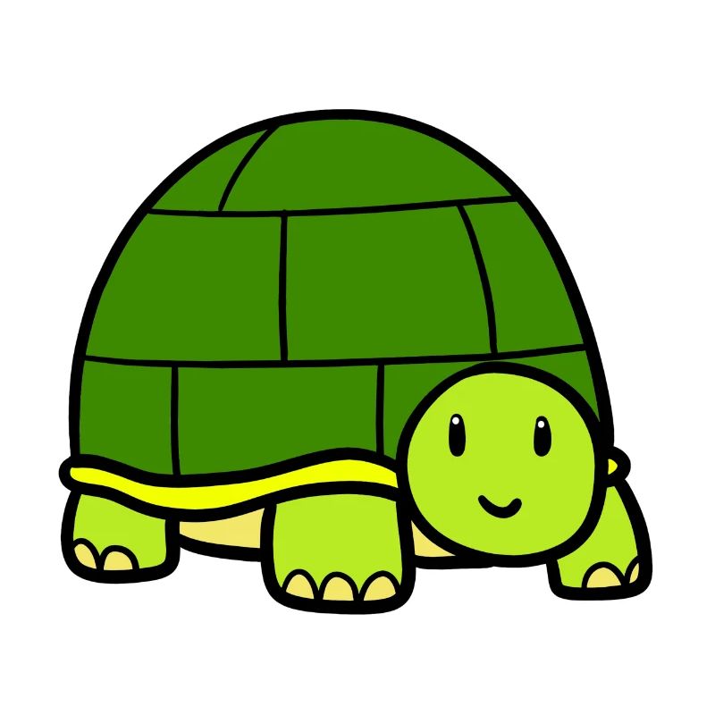 Little turtle