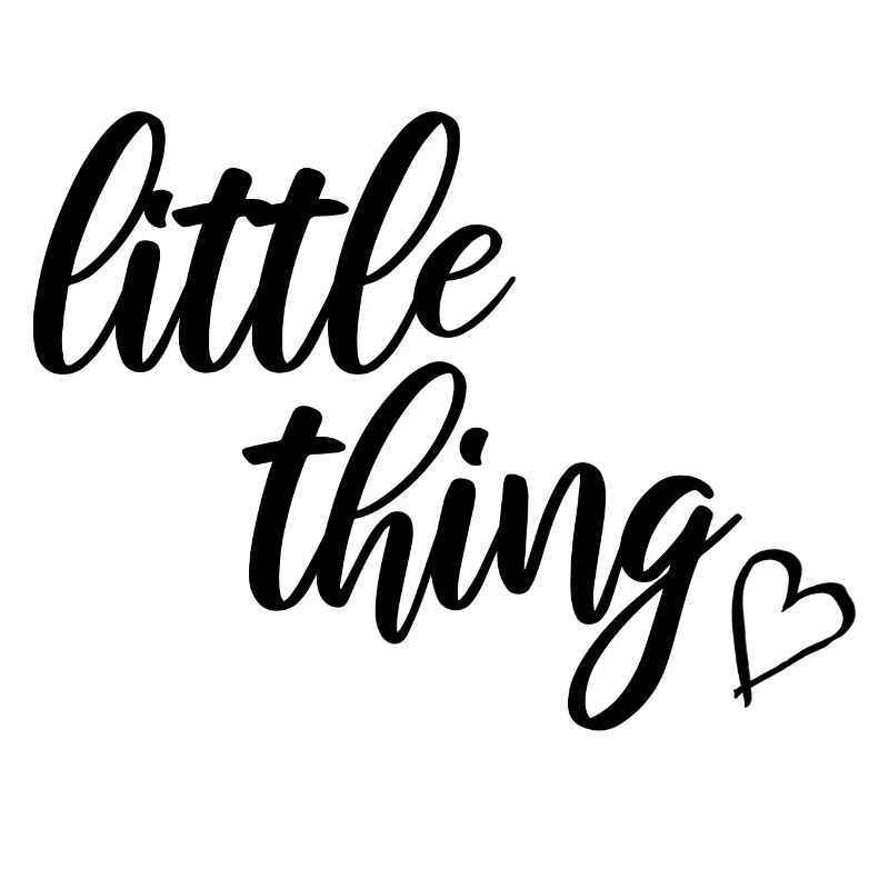 little thing Partnerlook Partnershirt kleines ding