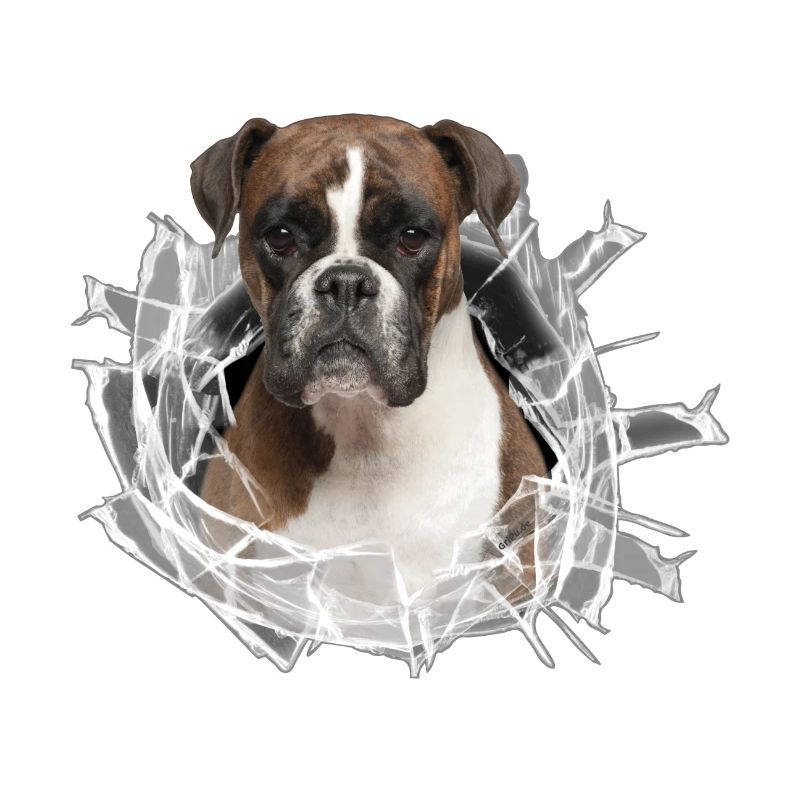 Boxer im Glas Loch