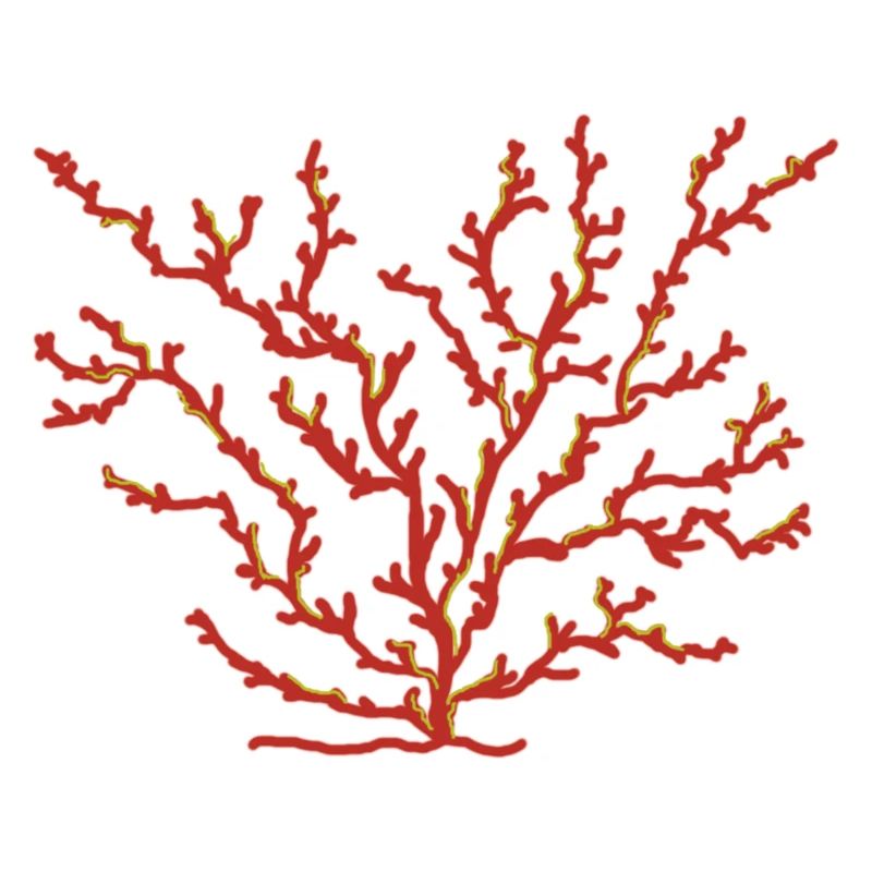 corail