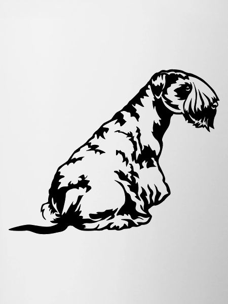 Cesky Terrier