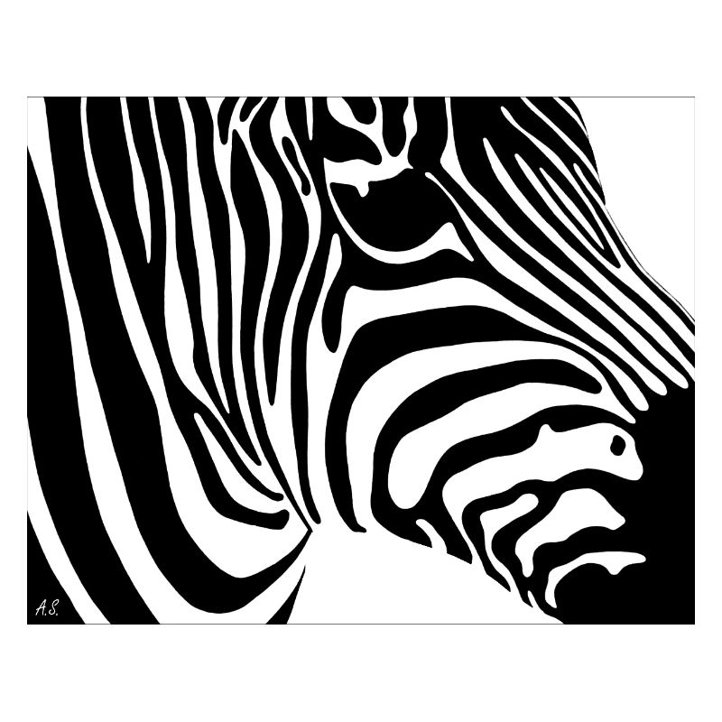 Zebra print: Contrast stripes