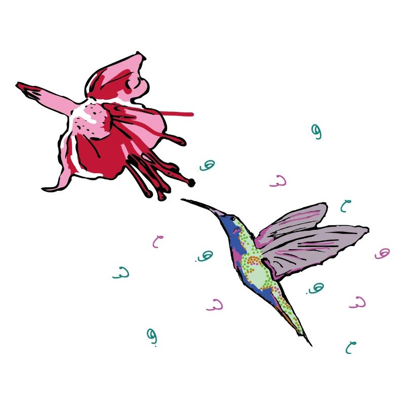 Colibri