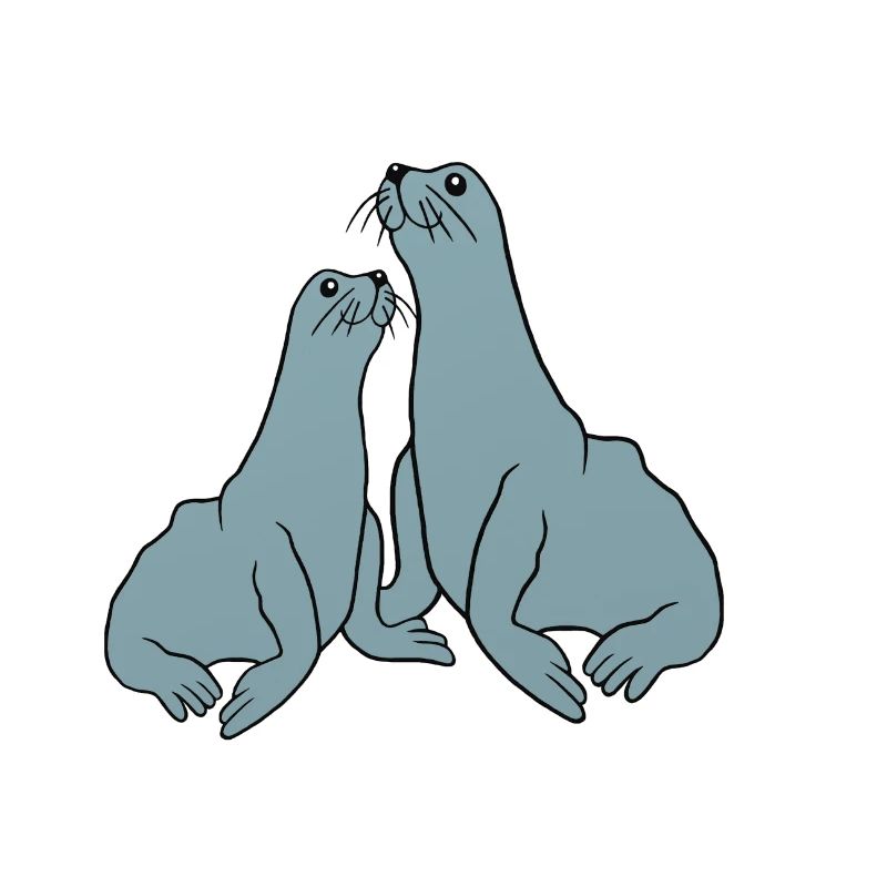 Illustration de phoque ludique