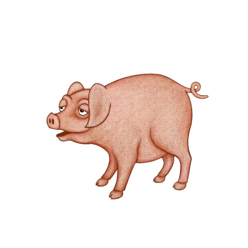 Humorous Pig Character