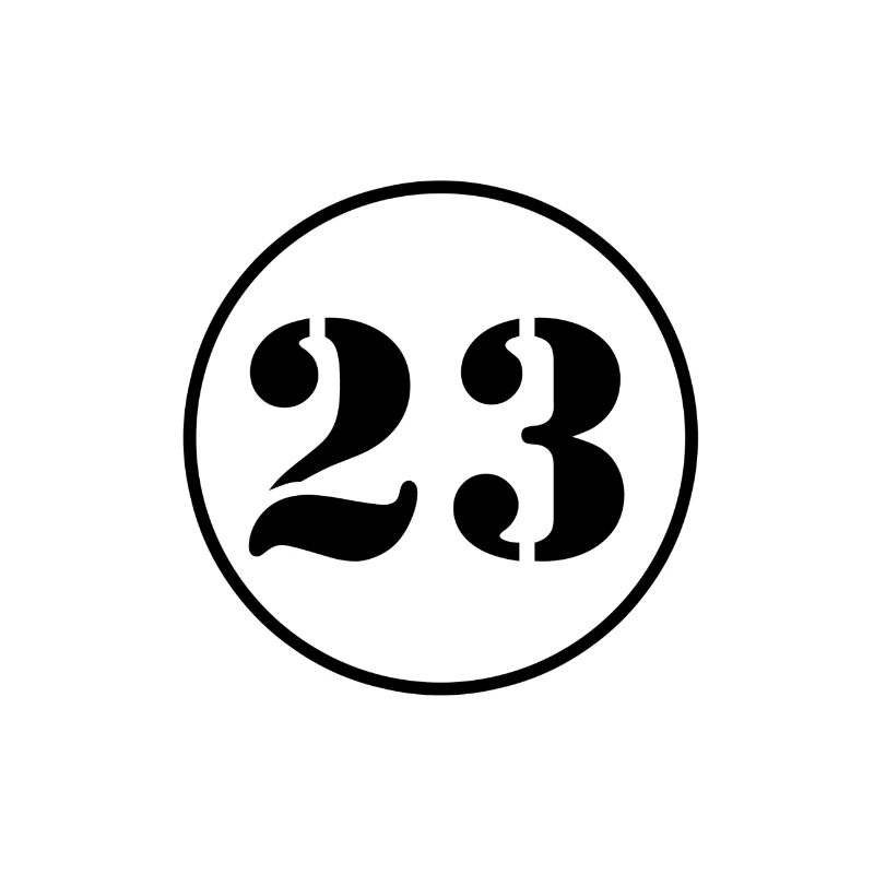 NUMBER 23 twenty three birthday gift