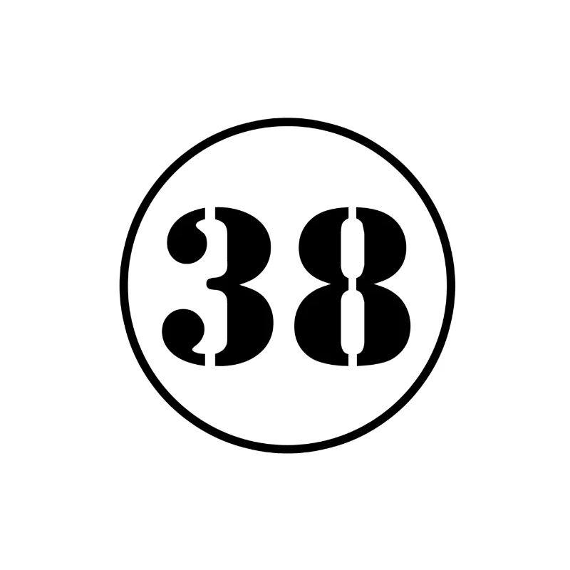 NUMBER 38 thirty eight birthday gift