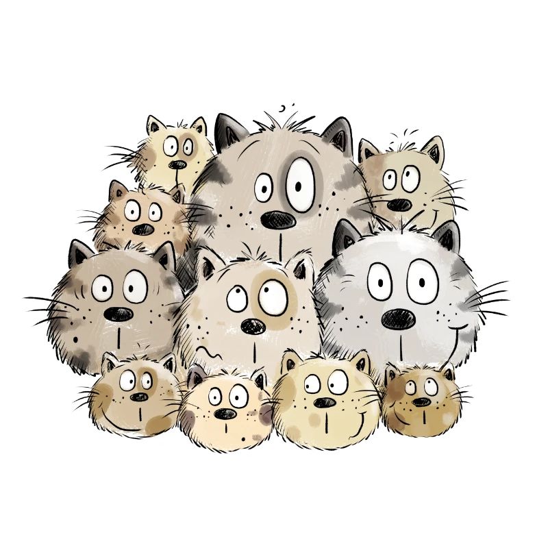 Chats drôles I chaton chat cadeau me manque