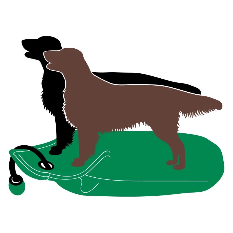 2 Flat Coated Retriever auf Dummy