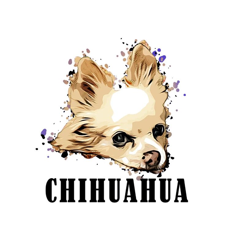 Chihuahua Longs Cheveux Comic Texte