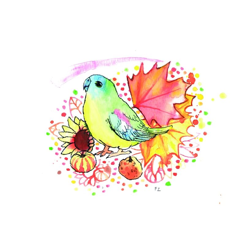 Green parrot