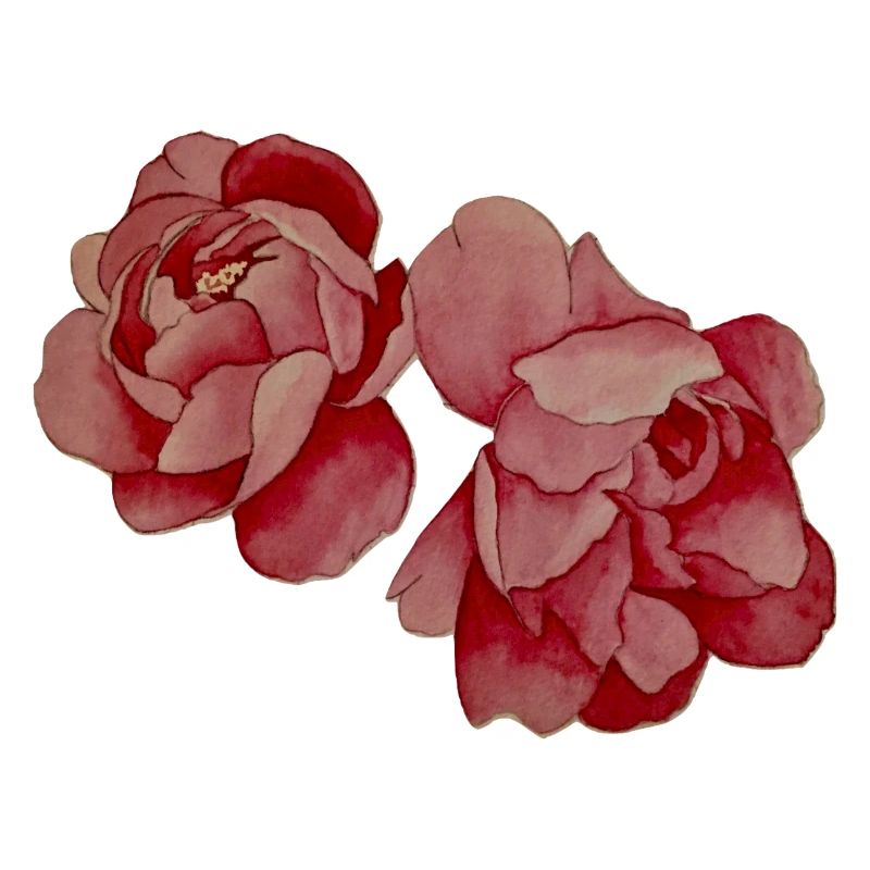 Peonies