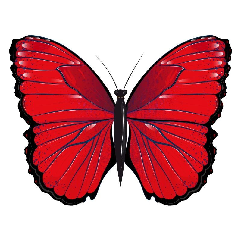 roter Schmetterling handgezeichnet und koloriert
