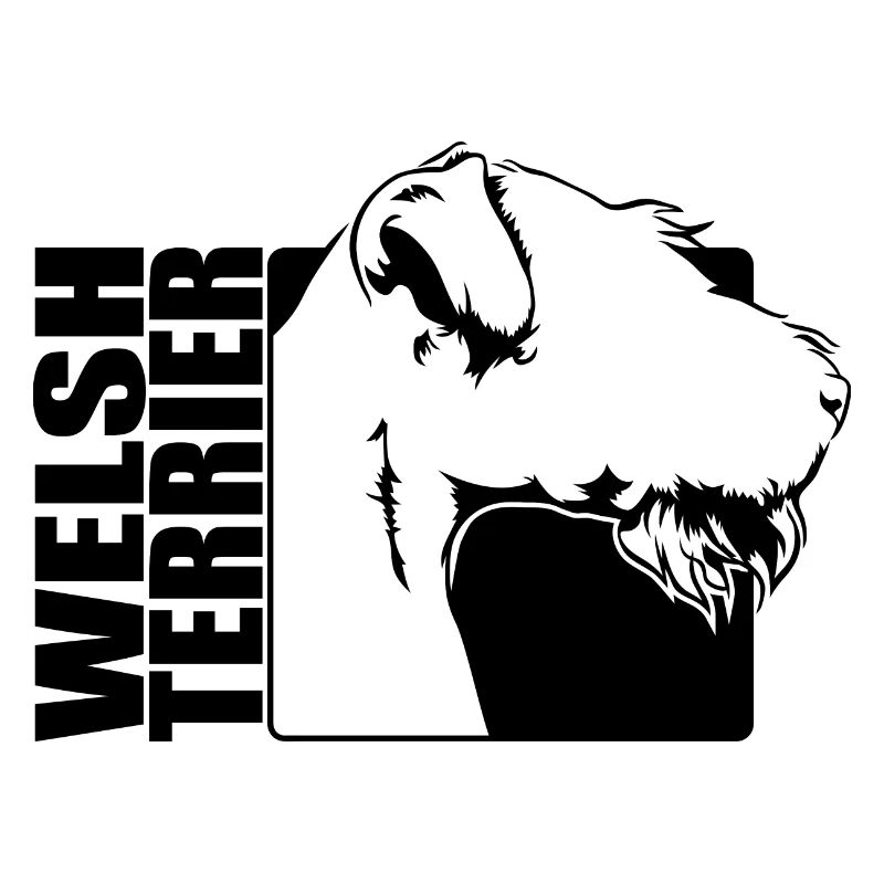 Welsh Terrier Profil Chiens Chien Wilsigns