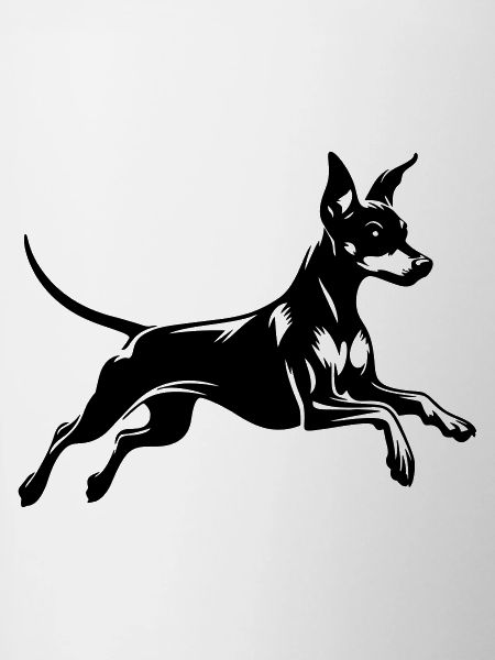 Miniature Pinscher