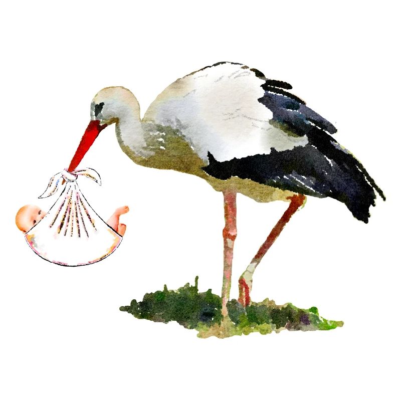 Cigogne avec bébé dans une écharpe