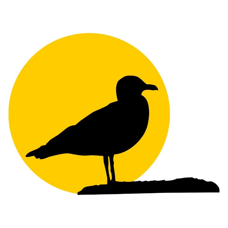 Mouette devant le soleil