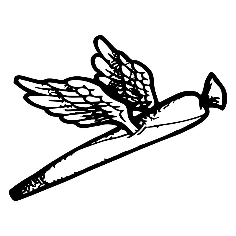 We fly so High