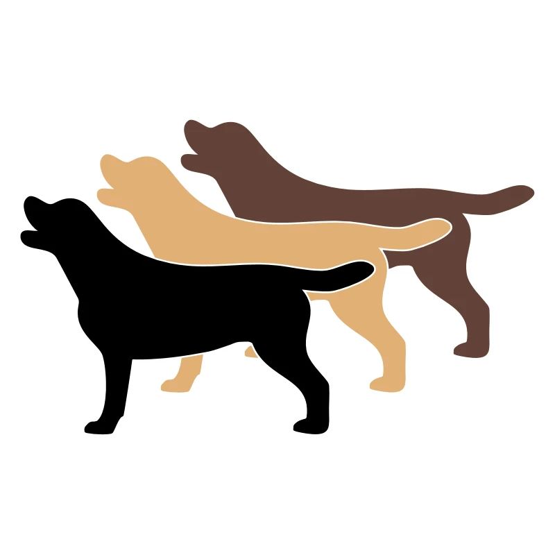 3 Labrador Farben