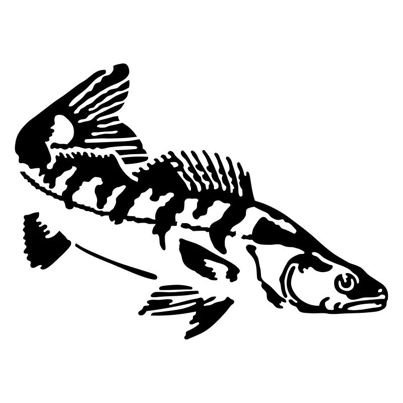 zander