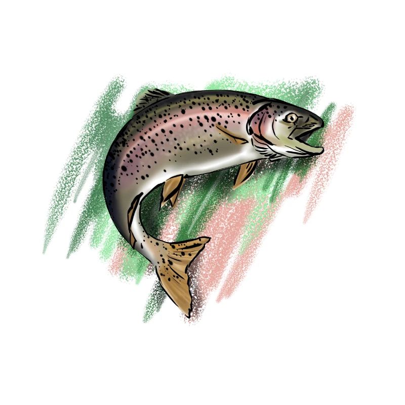 Trout