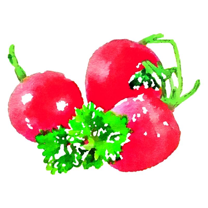 radish