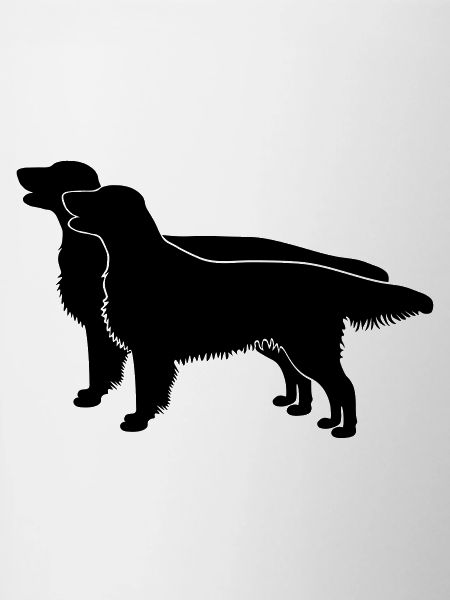 2 Flat Coated Retriever