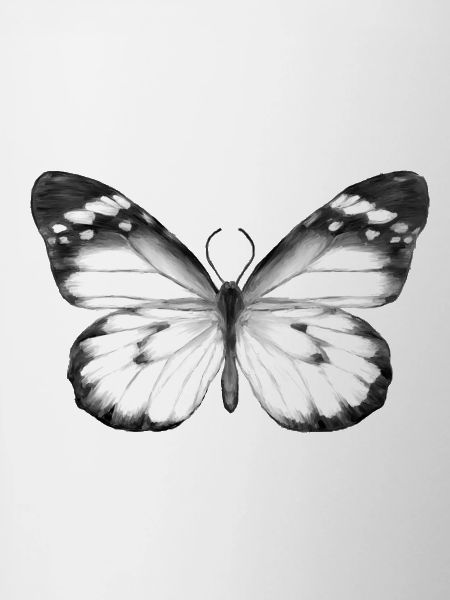 Monochrome Butterfly