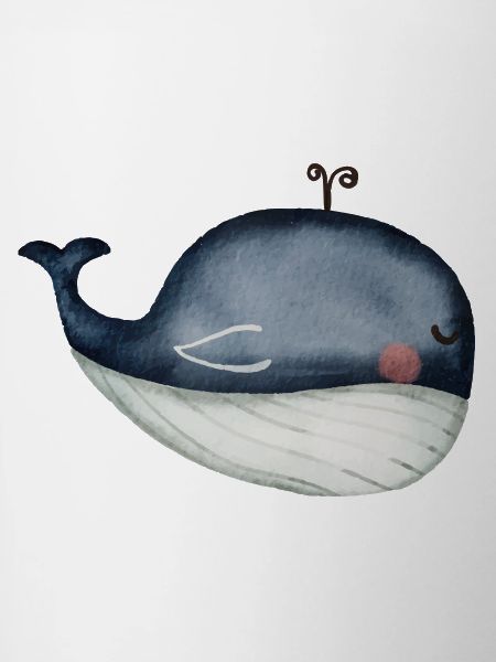 whale, ocean
