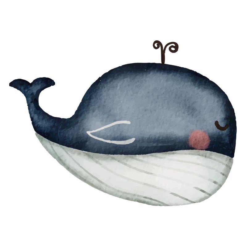 whale, ocean