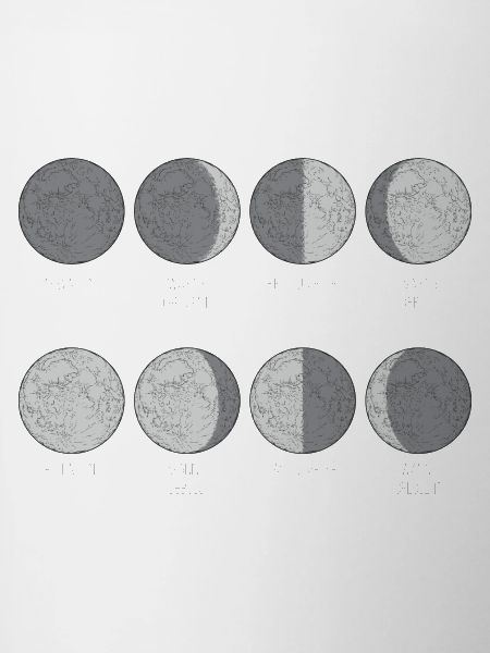 Monochrome Moon Phases Grid