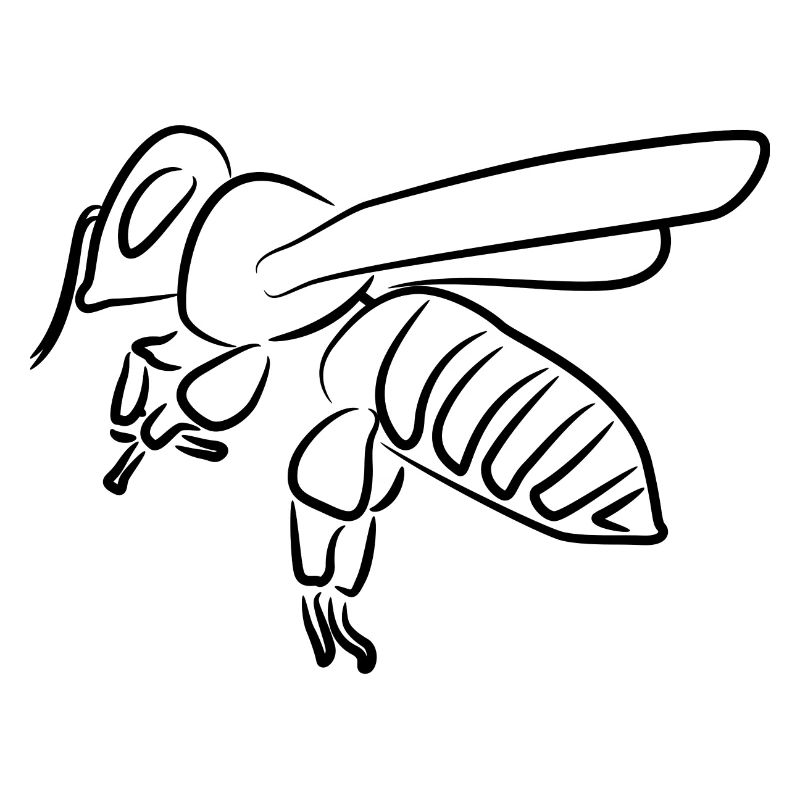 Honigbiene