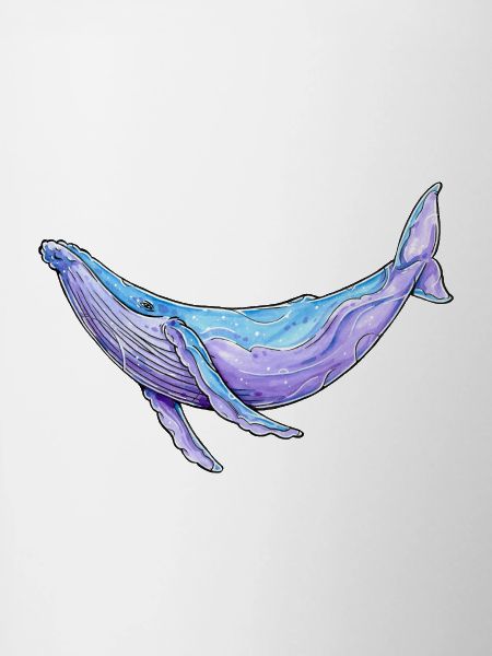 Buckelwal Aquarell