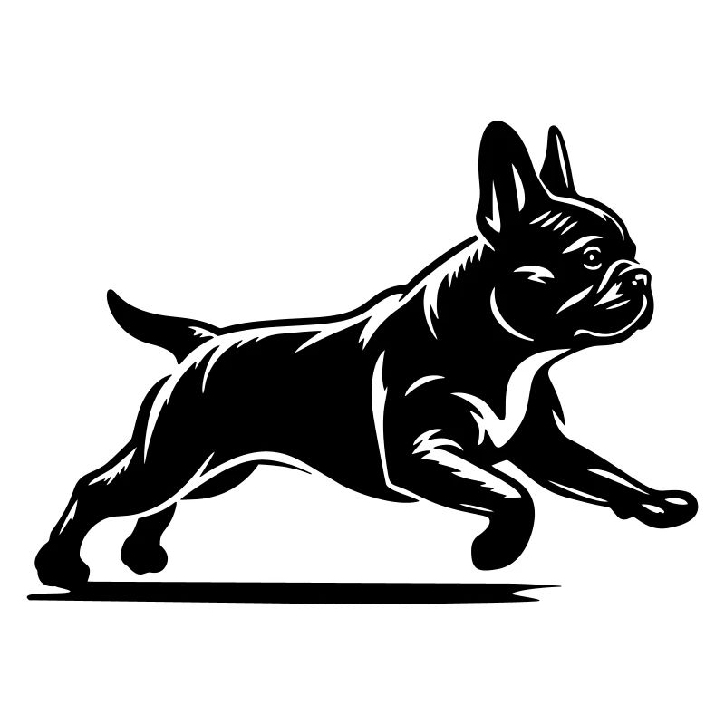 Bouledogue Français