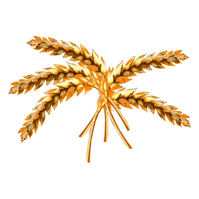 céréales