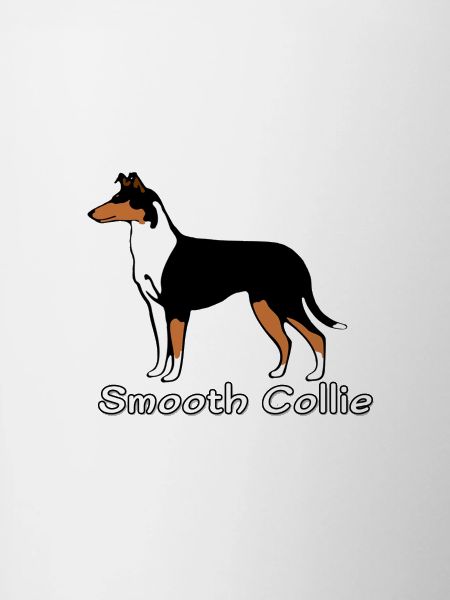 Smooth Collie tricolour
