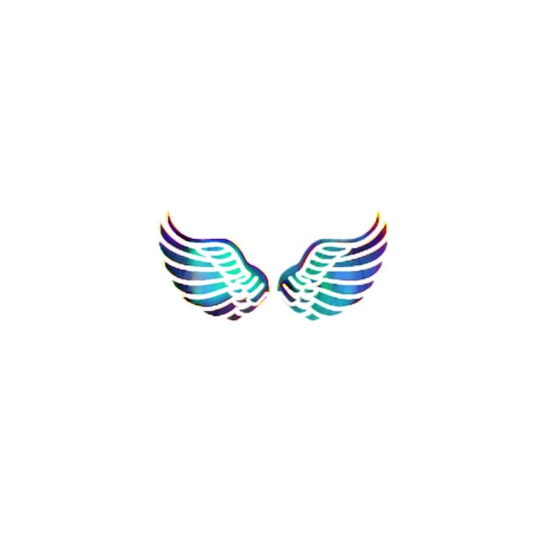 Des ailes