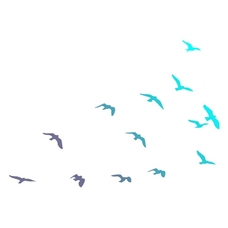 Bird migration