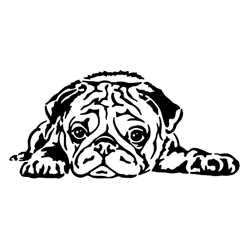 Mops liegend